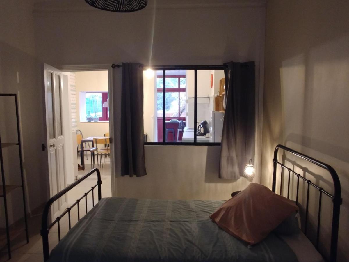 나르본 Rez De Chaussee Centre, Jardin 아파트 외부 사진